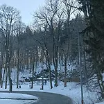 Jedlinka A *