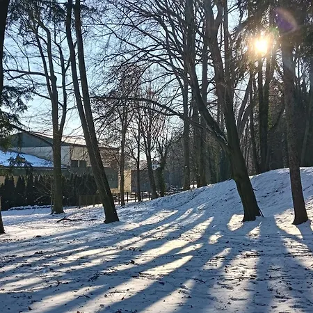 Apartment Jedlinka A