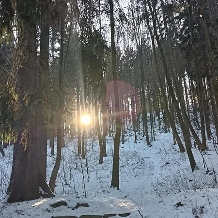 Apartment Jedlinka A