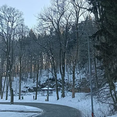 Jedlinka A *