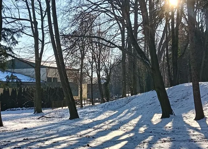 Apartment Jedlinka A