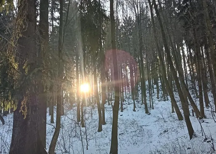 Apartment Jedlinka A